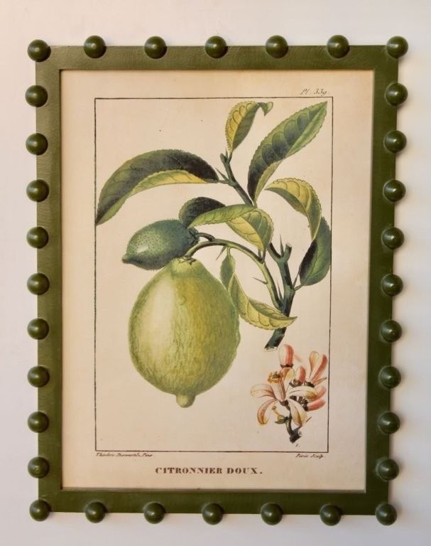 Fruit Picture Green Bobble Frame